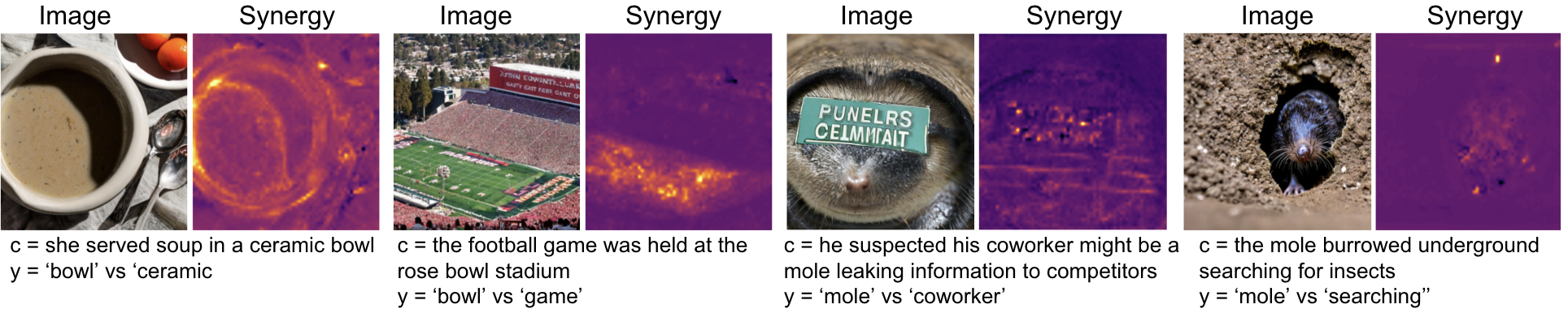 Homonyms Result